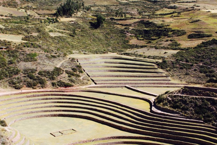 IkHQAO7fShyU14CXvpGQvQ_thumb_307