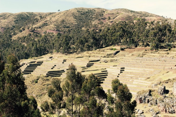 M9pkll4HTAWSUmRktZxSLA_thumb_2cf