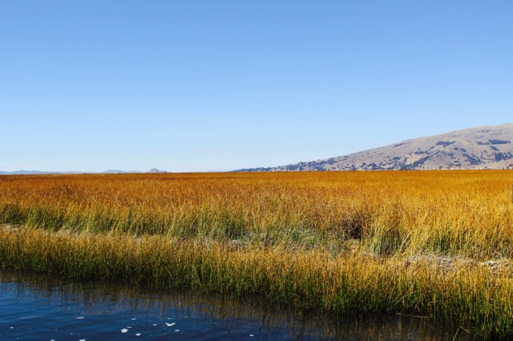 z85dGEXISWGQ1kiP7Uhbtw_thumb_3bb